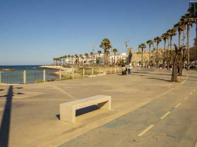 ...dal 2011 convive con il lungomare riqualificato dall�architetto catalano Oriol Bohigas